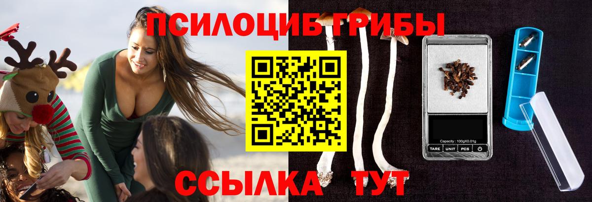 Бор  Псилоцибиновые грибы мухоморы  Псилоцибиновые грибы прущие грибы  наркота  Вход с VPN 